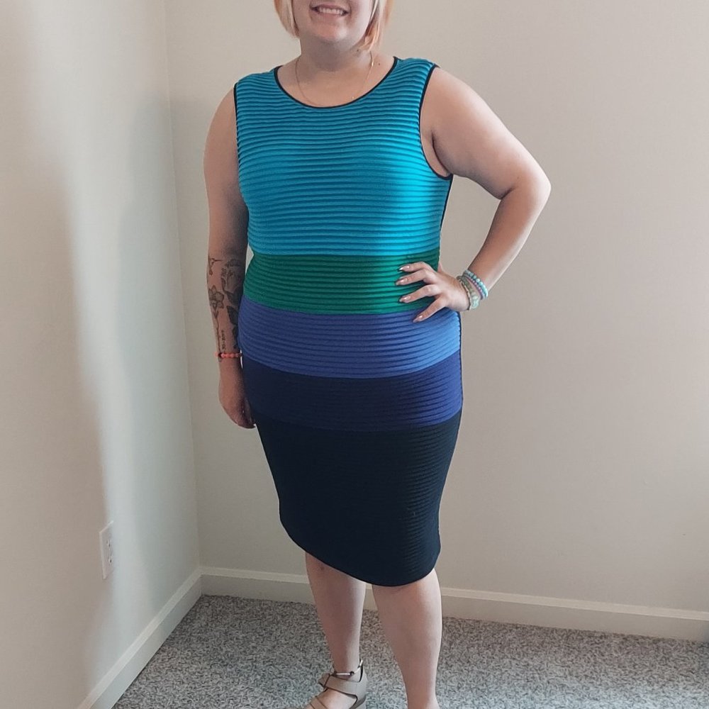 Plus Size Calvin Klein Color Block Strip Sheath Dress Size 16W